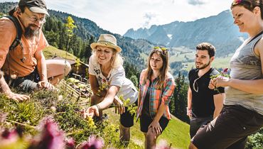 Themed tour - Plant treasures in the Kaiser Mountains - Kufstein