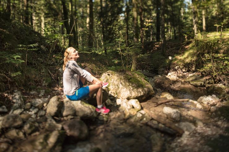 Wald- und Moor-Wanderung Bad Häring
