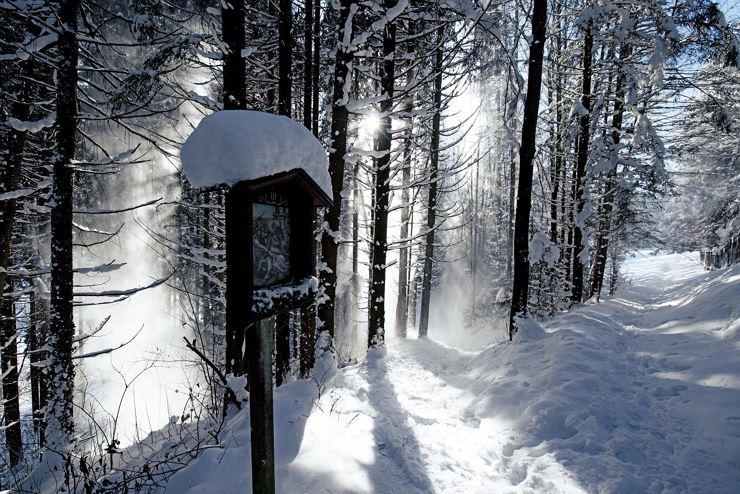 Wanderung zur Thierberg-Kapelle
