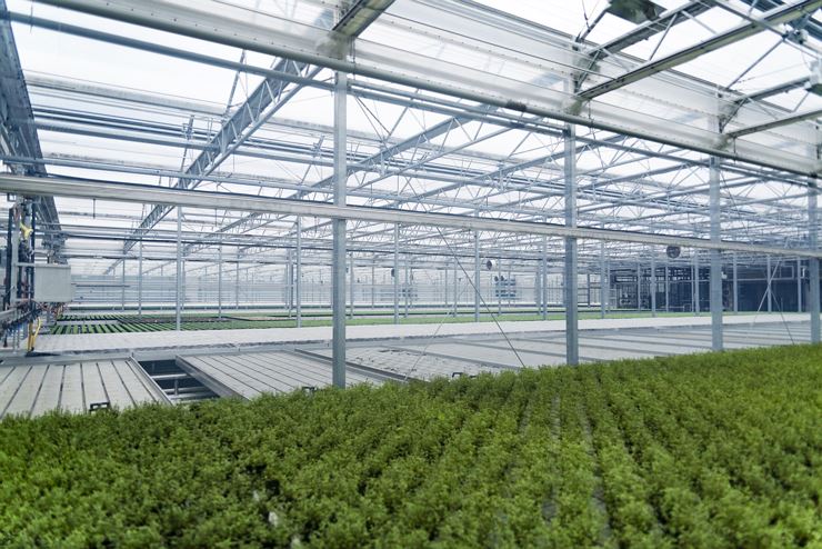 Gartenbau Strillinger - Kufstein