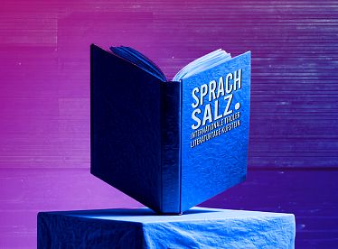5-buch-bild-steles-sprachsalz25-mit-titel-mk-midj-4