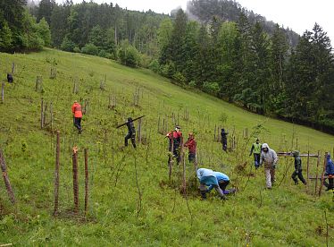 bergwaldprojekt-kaisergebirge-cstandortmarketing-kufstein-4993-4