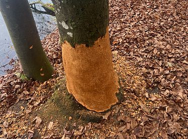 hechtsee-c-standortmarketingkufstein-4