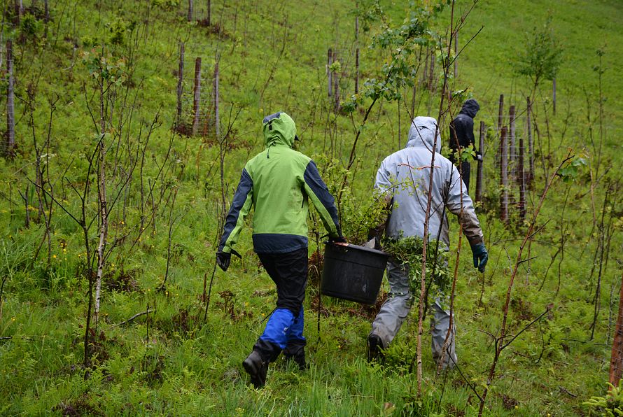 Bergwaldprojekt_Kaisergebirge_(c)Standortmarketing_Kufstein_5015