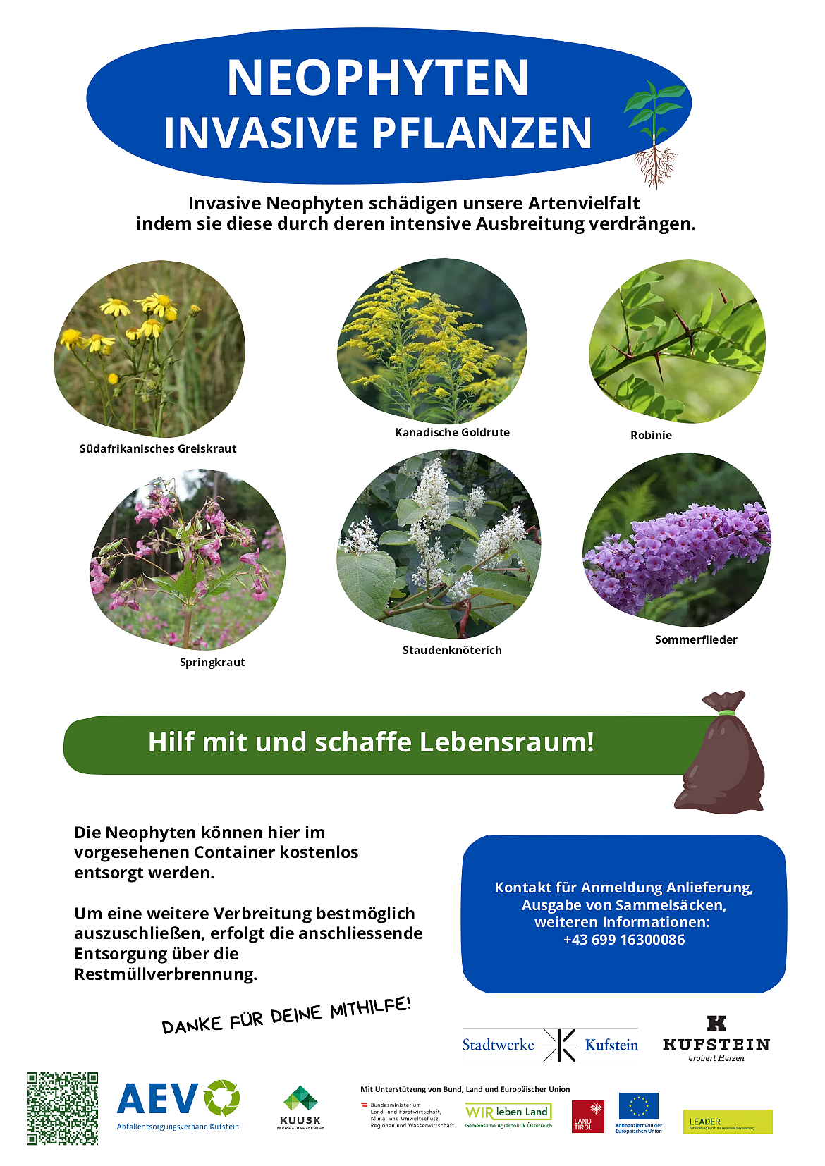Neophyten richtig entsorgen (1)