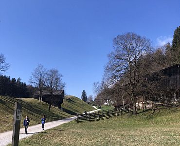 IMG_9652
