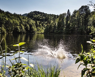 pfrillsee-kufstein-see-natur-naturbadesee-baden-wasser©lolin