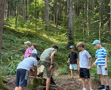 2025_Kufstein_Ferienexpress_Sommer_Kugelspaß im Wald_c_Vielfalt GmbH