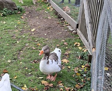 20251030_Kufstein_Ferienexpress_Bauernhof