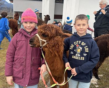 2026_Kufstein_Ferienexpress_Semesterferien_Alpakawanderung_c Vielfalt GmbH