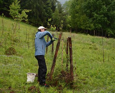 slim-bergwaldprojekt-kaisergebirge-cstandortmarketing-kufstein-5007