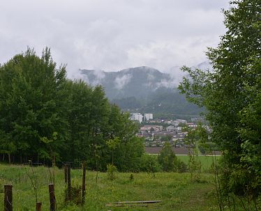 slim-bergwaldprojekt-kaisergebirge-cstandortmarketing-kufstein-5010