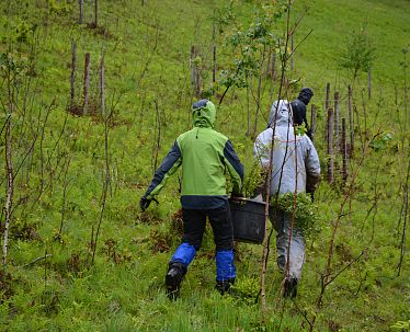 slim-bergwaldprojekt-kaisergebirge-cstandortmarketing-kufstein-5016