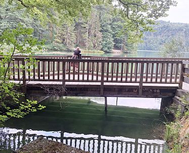 Cyprinus Brücke