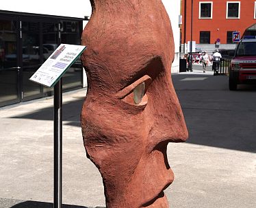 slim-face-it