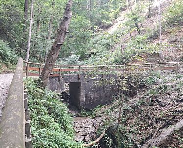 Salamanderbrücke