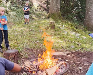 Wir erkunden den Wald